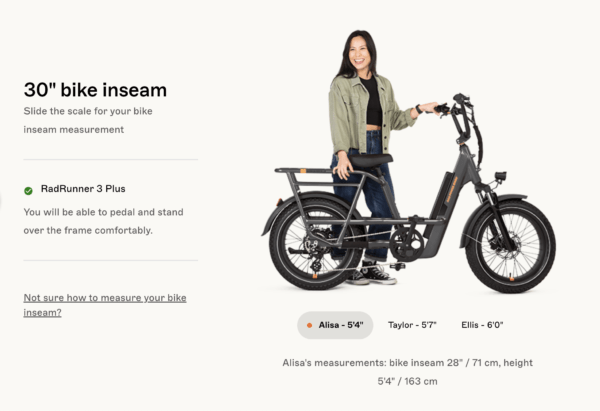 RadRunner 3 Plus Electric Utility Bike - Image 10